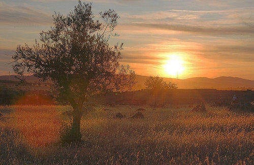 Stokies In Extremadura: Notes From The Countryside