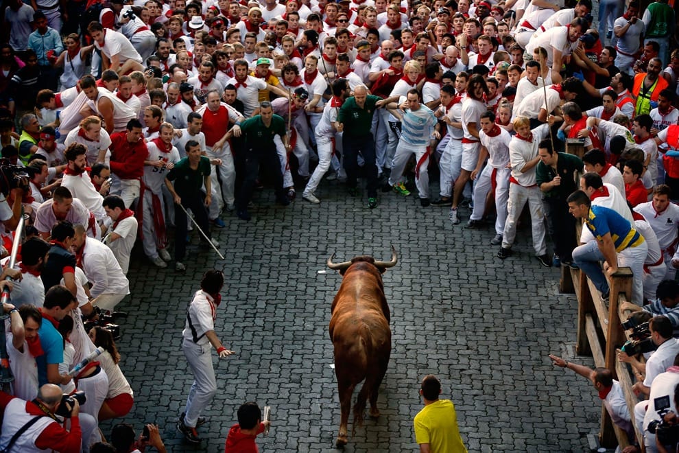 Pamplona bull vows to float like butterfly, sting like bee