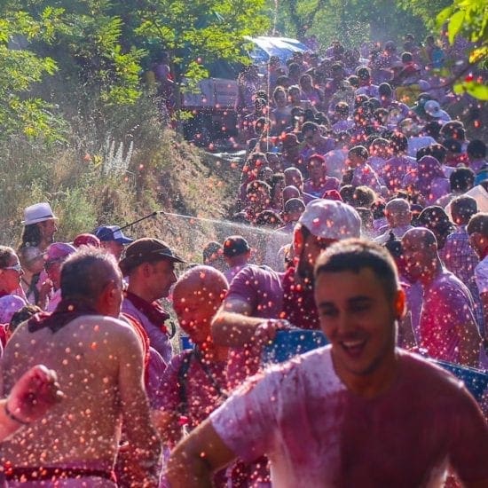 🍷San Vino Wine Fight Festival 2026🍷 | La Rioja Spain | Stoke Travel